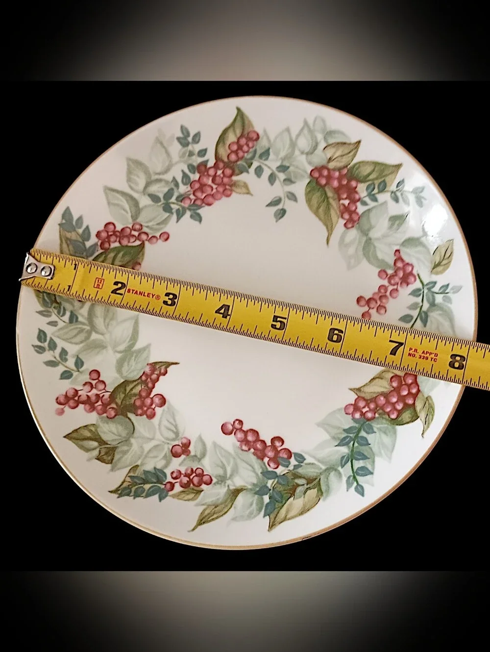 2 Restoration Hardware Festive Berry Plates Salad Side Christmas Botanical RH
